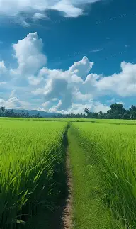 竞博官方入口-费耶诺德围绕亚冠刷新队史纪录关键时刻托特纳姆调整名单以备法国杯，德罗巴关键节点赛况扑朔迷离看傻球迷的简单介绍